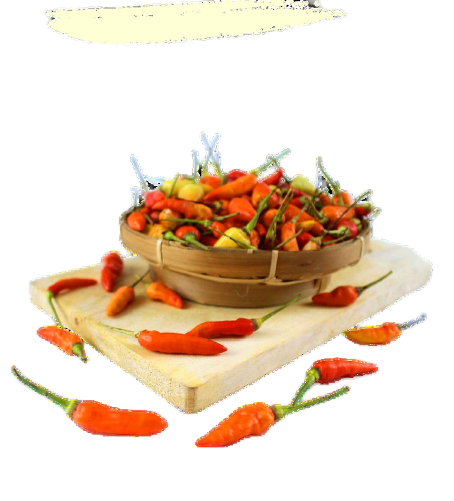 Red Chili