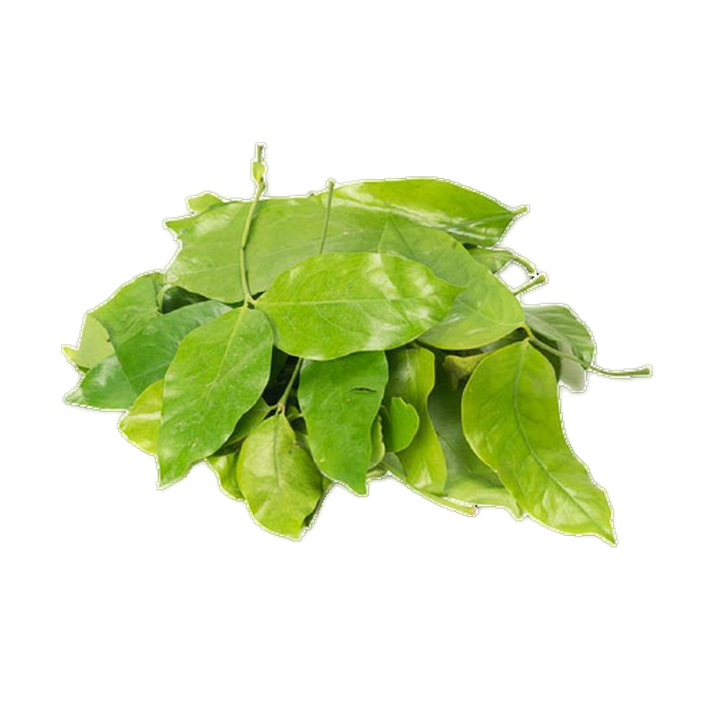 Melinjo Leaves