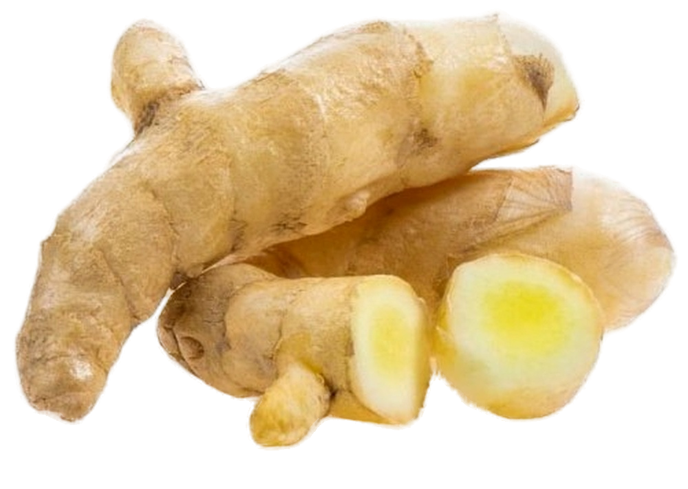 Ginger